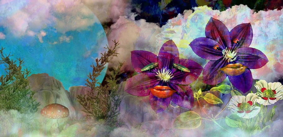 From Flower Power to Psychedelic Dreams: A Journey into the Fascinating World of Hippy Artwork