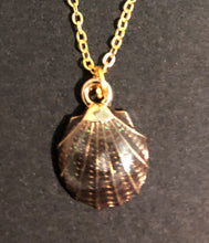 Load image into Gallery viewer, Tribal Coast Art Sea Shell Pendant Necklace Brown - Tribal Coast Art
